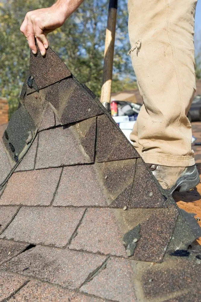 roof inspection service by hometrends pro