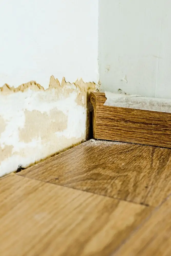 Water leakage preventive service for home