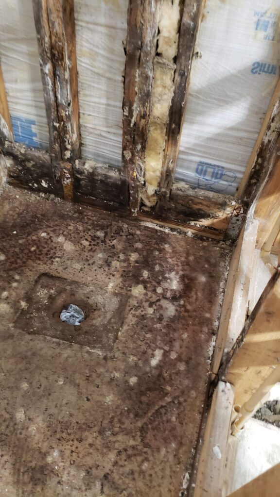 Severe subfloor mold and water damage inspection Jacksonville - HomeTrends Pro
