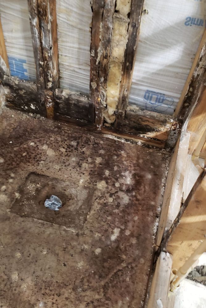 Severe subfloor mold and water damage inspection Jacksonville - HomeTrends Pro
