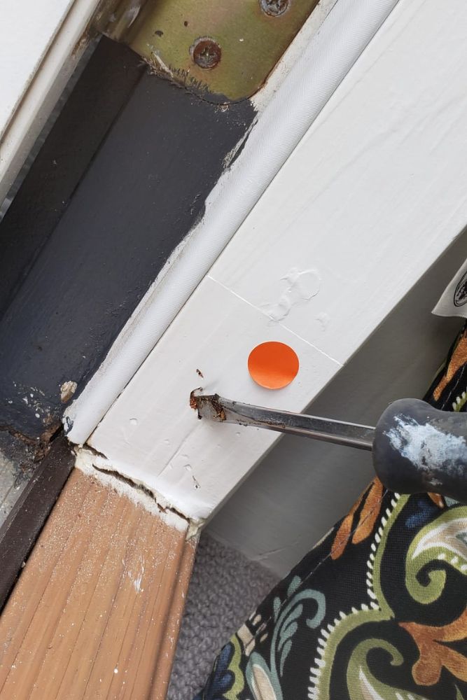Termite and water damage inspection Jacksonville door frame - HomeTrends Pro.jpg