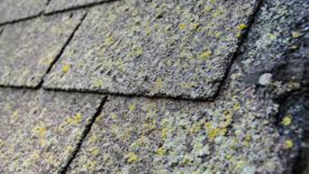algae streaking (dark staining) on asphalt shingles
