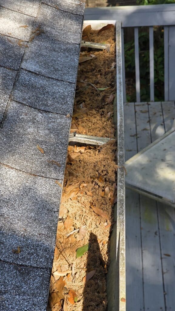 clogged-gutter-granule-loss-jacksonville-home