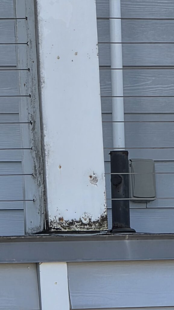 fascia-rot-mold-jacksonville-home-inspection