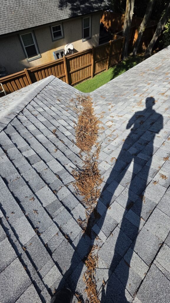 roof-valley-debris-inspection-jacksonville-fl.jpg