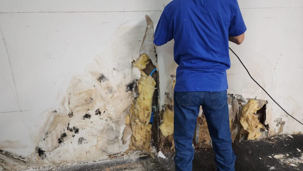 water damage and mold inspection Jacksonville home - HomeTrends Pro inspector