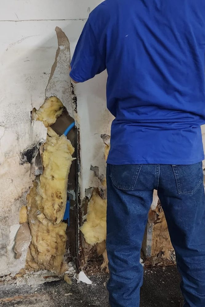 water damage and mold inspection Jacksonville home - HomeTrends Pro inspector